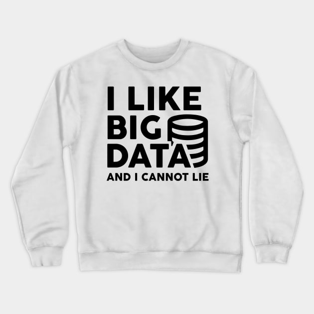 I Like Big Data and I Cannot Lie Crewneck Sweatshirt by alissawang
